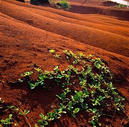 《开普勒斯》正式版发售 Steam评价“特别好评”